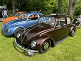 VW Treffen (Beersel)