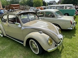 VW Treffen (Beersel)