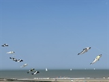 Volkswagen Busmeeting (Westende)