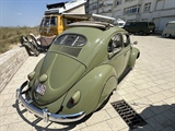 Volkswagen Busmeeting (Westende)