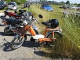 Cars en Coffee Wetteren