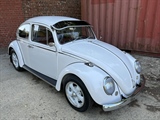 Sunday Morning Classics (Asiat Vilvoorde) -  25 juni 2023