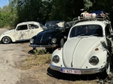 Sunday Morning Classics (Asiat Vilvoorde) -  25 juni 2023