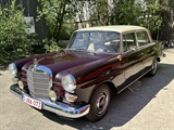 Sunday Morning Classics (Asiat Vilvoorde) -  25 juni 2023