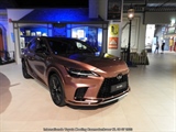 Internationale Toyota meeting Raamsdonkveer -  8 juli 2023