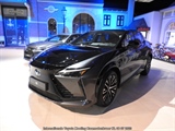 Internationale Toyota meeting Raamsdonkveer -  8 juli 2023