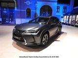 Internationale Toyota meeting Raamsdonkveer -  8 juli 2023