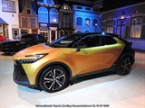 Internationale Toyota meeting Raamsdonkveer -  8 juli 2023