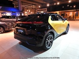 Internationale Toyota meeting Raamsdonkveer -  8 juli 2023