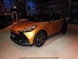 Internationale Toyota meeting Raamsdonkveer -  8 juli 2023