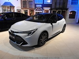 Internationale Toyota meeting Raamsdonkveer -  8 juli 2023