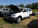 Internationale Toyota meeting Raamsdonkveer