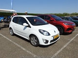 Internationale Toyota meeting Raamsdonkveer