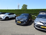 Internationale Toyota meeting Raamsdonkveer