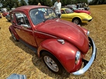 Summer Sweetness (Tielt-Winge) -  21 juli 2023