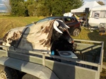 de Vlaamse Oldtimer Vrienden op weekend bij Cheese 'n Cars -  30 juli 2023