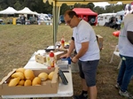 de Vlaamse Oldtimer Vrienden op weekend bij Cheese 'n Cars -  30 juli 2023