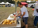 de Vlaamse Oldtimer Vrienden op weekend bij Cheese 'n Cars