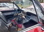de Vlaamse Oldtimer Vrienden op weekend bij Cheese 'n Cars -  30 juli 2023
