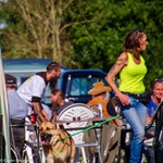 de Vlaamse Oldtimer Vrienden op weekend bij Cheese 'n Cars