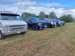de Vlaamse Oldtimer Vrienden op weekend bij Cheese 'n Cars -  30 juli 2023