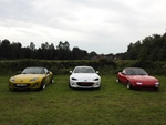 Cars on the grass 2