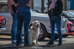 Cars en Coffee Oostende