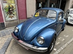 Freddy Files (Ninove)