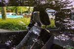 Vintage chroom meeting - Lanaken -  28 mei 2023