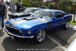 Mustang Fever