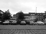 Bloesemrit Diepenbeek -  21 april 2024