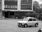 Bloesemrit Diepenbeek -  21 april 2024