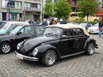 Bloesemrit Diepenbeek -  21 april 2024