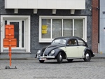 Bloesemrit Diepenbeek -  21 april 2024