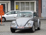 Bloesemrit Diepenbeek -  21 april 2024
