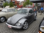 Bloesemrit Diepenbeek -  21 april 2024