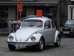 Bloesemrit Diepenbeek -  21 april 2024