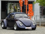 Bloesemrit Diepenbeek -  21 april 2024