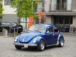 Bloesemrit Diepenbeek -  21 april 2024