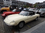 Bloesemrit Diepenbeek -  21 april 2024