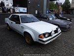 Bloesemrit Diepenbeek -  21 april 2024