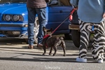 Cars & Coffee Oostende -  28 april 2024