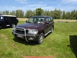 Internationale Toyota meeting Raamsdonkveer -  29 juni 2024