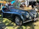Oldtimer Rally Lichtfeesten Reet -  11 augustus 2024
