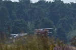 Fly in Malle -  25 augustus 2024