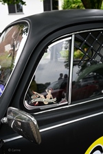 Cars 'n Coffee - Bar Bascule (Kapelle-op-den-Bos) -  4 augustus 2024
