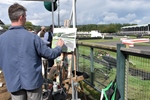 Goodwood Revival Meeting -  7 september 2024