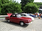 Chaudfontaine Collections Cars -  1 juni 2025