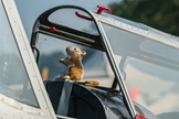 Fly-In & Oldtimer meeting // Keiheuvel - Balen -  26 juli 2025