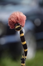 Cars 'n Coffee aan het water - Kapelle-op-den-Bos -  3 augustus 2025